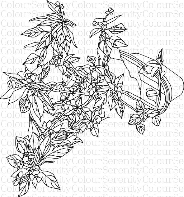 adult coloring page flower pot printable instant download 1