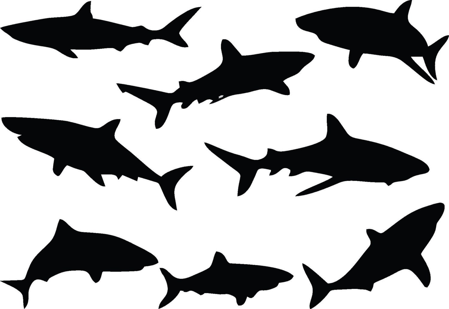 Очертание акулы