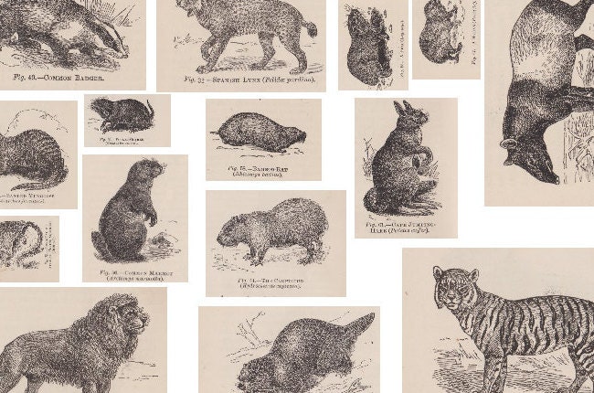 Three PDF Victorian Animals Collage Sheets for Crafting