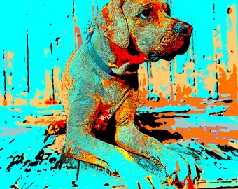 Dog Pop ART Custom from your photograph Canvas Print