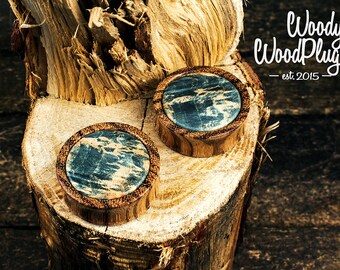 Zebrano wood plugs with blue maple inlay -ear plugs -plugs wood- piercing plugs 14 mm 16mm 18mm 20mm 22mm gauges 24mm 26mm 28mm 30mm