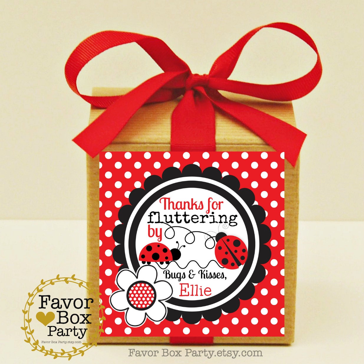 LADYBUG Party Favors 12 Favor Boxes Ribbon and Personalized