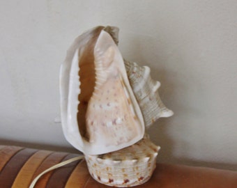 Lampe coquillage porcelaine Tahiti / luminaire retro vintage bohème 60s seventies / Holy10 / Holy10lighting