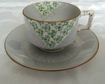 Edwein James Drew Bodley Tea Cup and Saucer; 19th century; Hand Painted circa 1876- DR