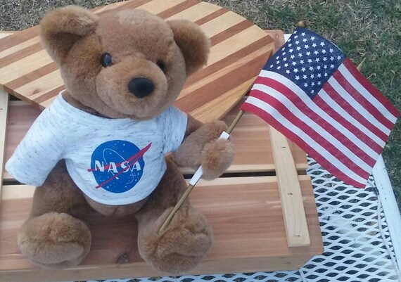 nasa teddy bear