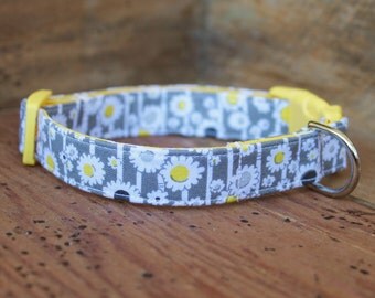 Daisy Dog Collar - Grey with Yellow and Grey Daisies
