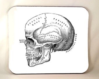 Anatomical Skull Mouse Pad, Horror Mousepad, Anatomy Vintage Medical Illustration, Sublimated Mouse Pad, Sublimation, Thick 1/4 Inch