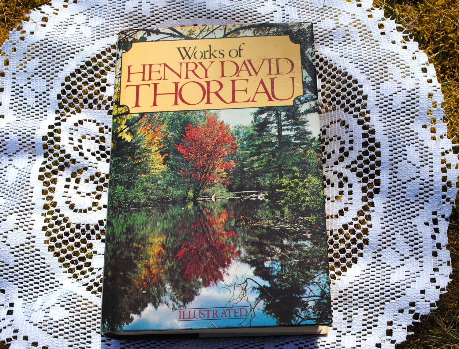 Civil collected david disobedience essay essay henry other thoreau