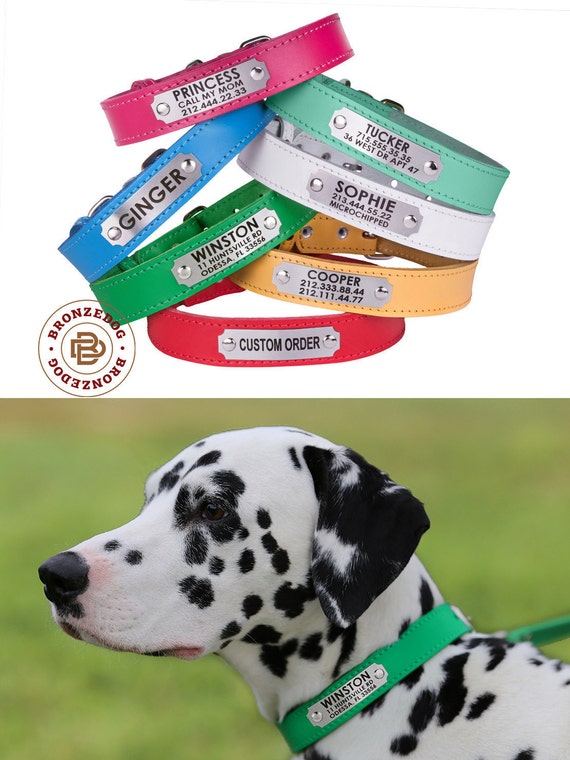Dog Gift Personalized Dog Collar Custom collars Engraved