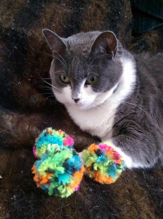 cat toys pom pom balls