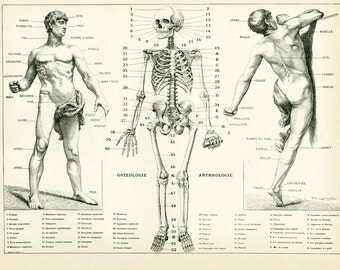 1897 Anatomy Human Body Parts Encyclopedia Larousse medical home decor wall art vintage