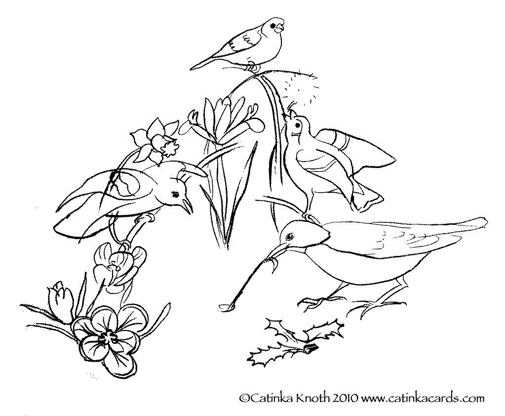 Spring birds flowers coloring page printable pdf wall art