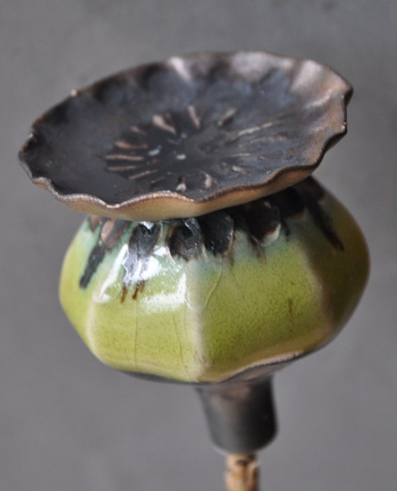 Mini Poppy Seed Heads by ceramicsbuyanja on Etsy