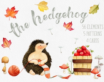 Fall clipart, Hedgehog clipart, Autumn clipart, fall leaves clipart, mushroom clipart, card templates, watercolor, digital paper, baby art