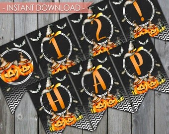 Halloween Banner, Halloween Birthday Banner, Black and Orange Banner, Bunting Banner, Halloween Party Banner, Instant Download, #348