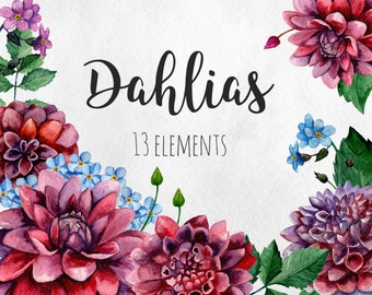 Dahlias clip art Watercolor flowers clipart Purple floral hand painted Burgundy clip art Maroon flowers Botanical arrangements clipart set