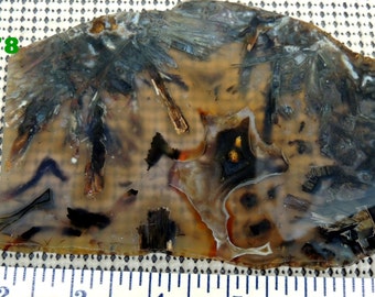 Turkish agate slab A78 164 grams Grade A lapidary display