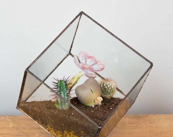 Terrarium cube