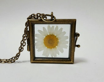 Real Daisy Necklace Daisy Locket Spring Fashion Flower Pendant Nature Jewelry Boho Pressed Flower Spring Botanical Jewelry Gift for Her
