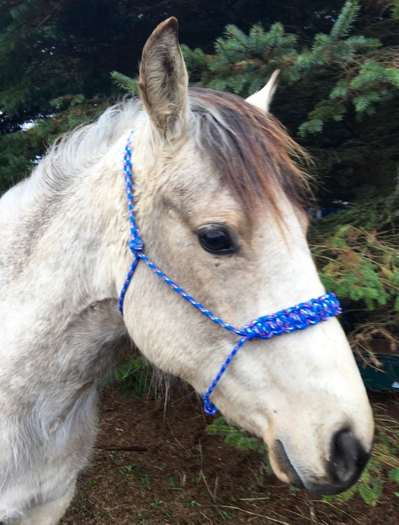 Paracord Rope Halter for Horse/Donkey/Pony/Mini/Goat CHOOSE