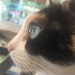 watermark82