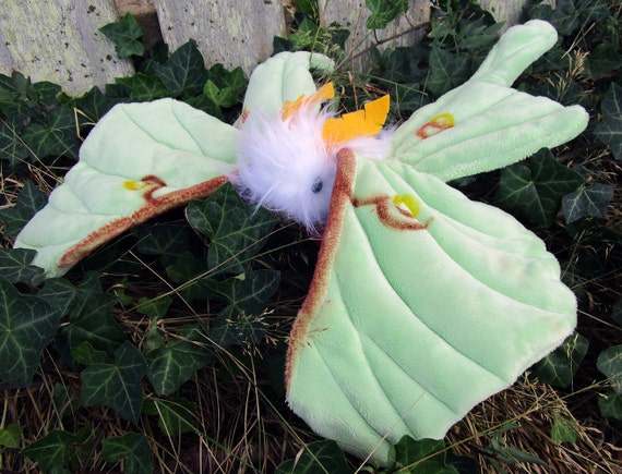 white moth plush