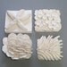 Ceramic "Biodiversity" Wall Sculpture, Nautical Art, Starfish, Eelgrass, Clams, & Seashells, Coral Reef Sculpture, Beach Art, Ocean Art,