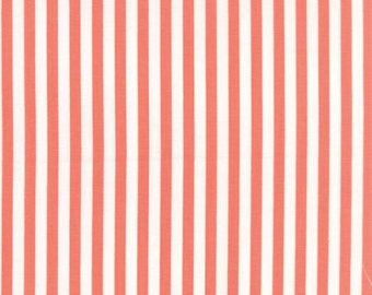 Prairie Coral Stripe by Corey Yoder for Moda