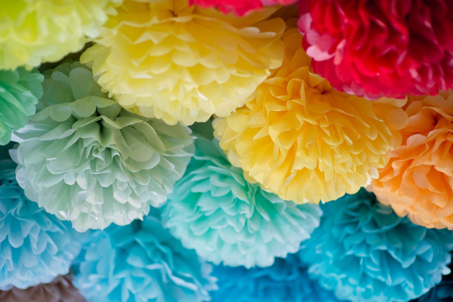 RAINBOW tissue paper POM POM set rainbow party decor
