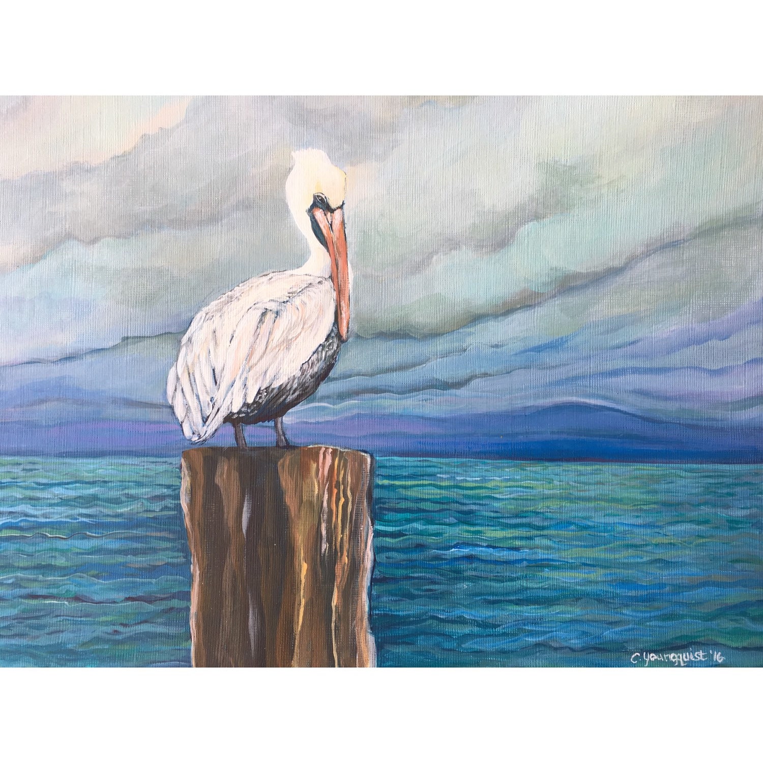 Lone Pelican 9x 12 Original Acrylic Painting