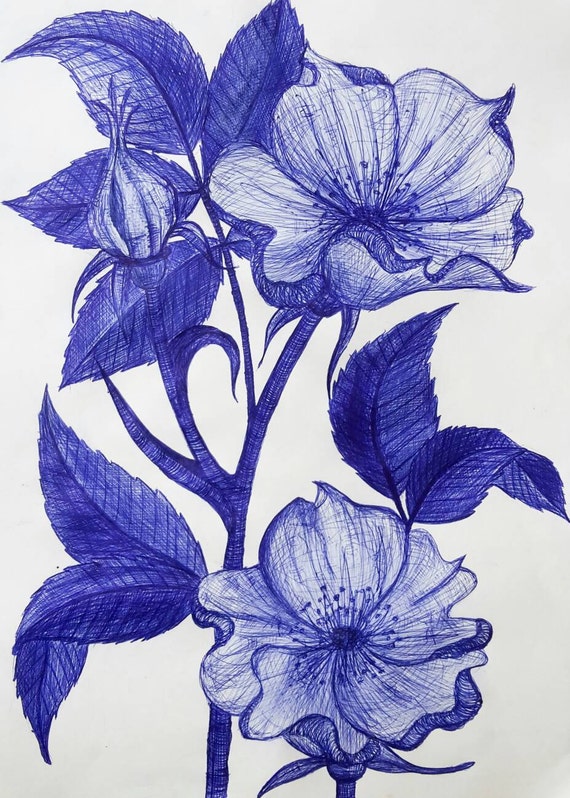 Items similar to Wild DogRose Biro Drawing on Paper on Etsy