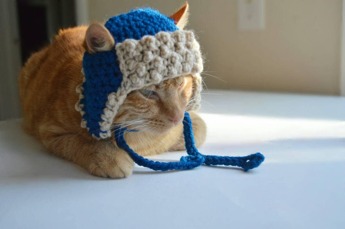 cat and jack winter hat