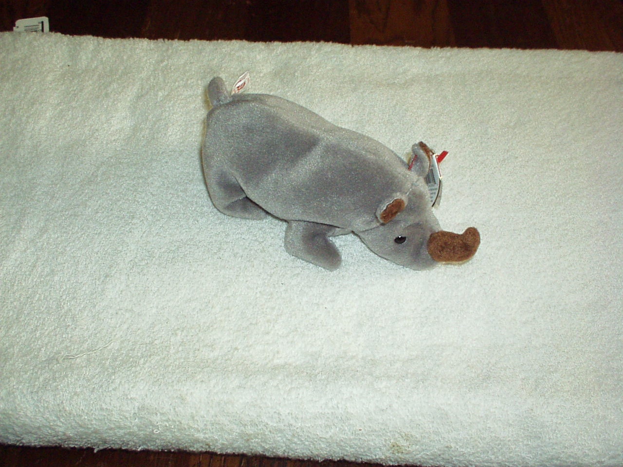 rhino beanie boo