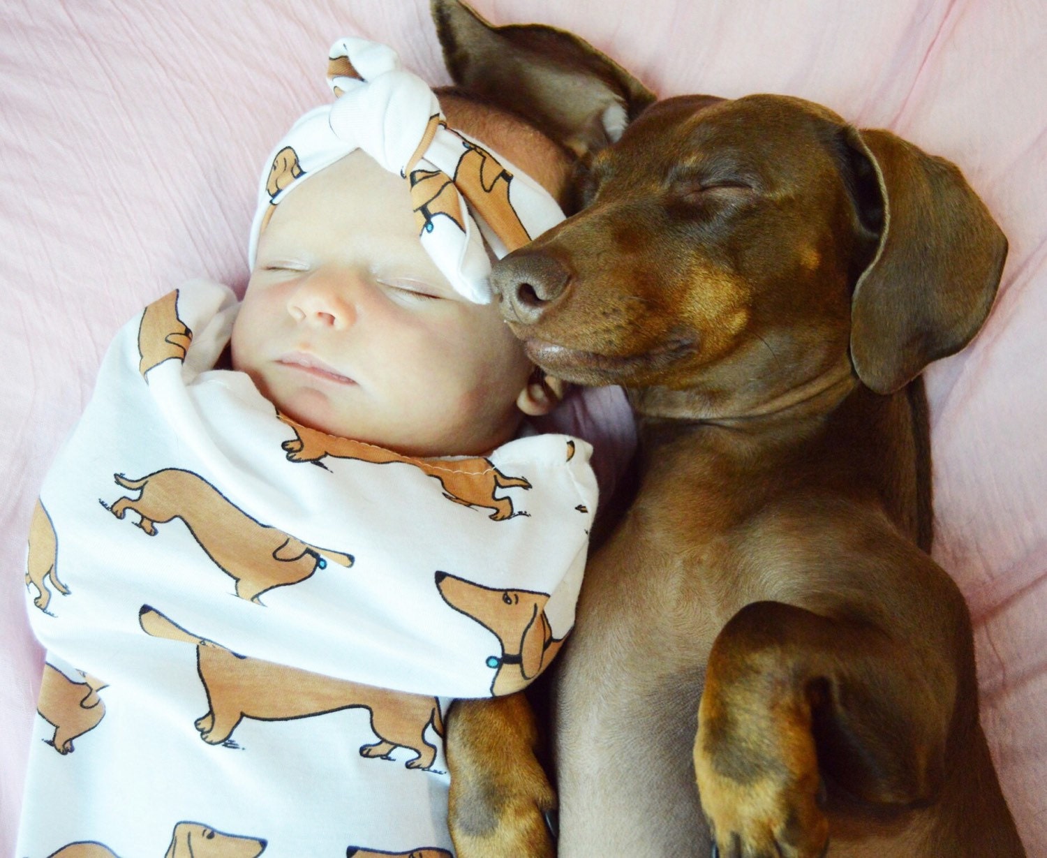 Dachshund Doxie weiner dog Swaddle Sack Swaddle by fawnandsage