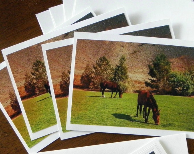 Wild Horses NOTE CARDS, Handmade Set, Equine Photography, Coordinating Envelopes, Horse Lover Gift Idea