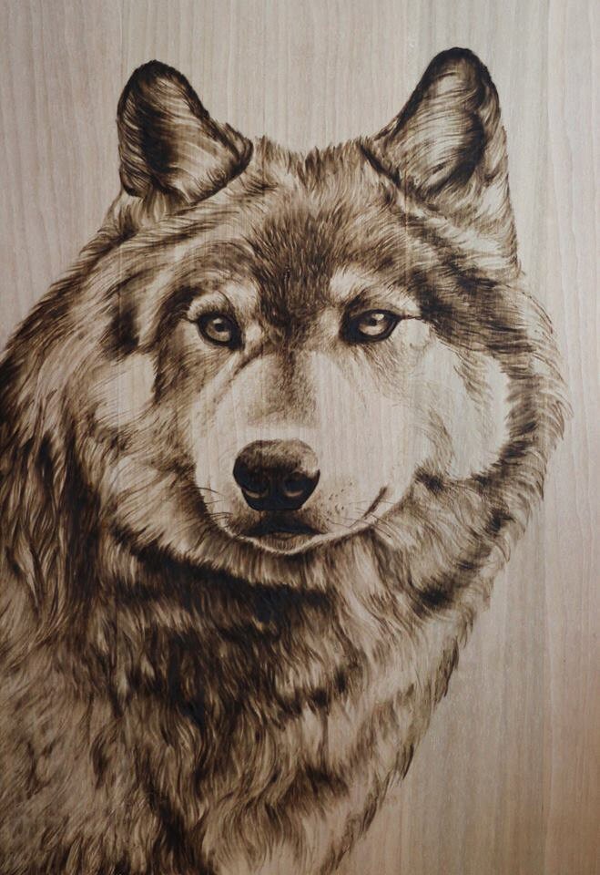 Wolf portrait pyrography/woodburning