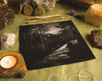 Suomi XIII - Fine Art Print - 21x21 cm - Black and White Photography, Woods, Landscape, Finland, 