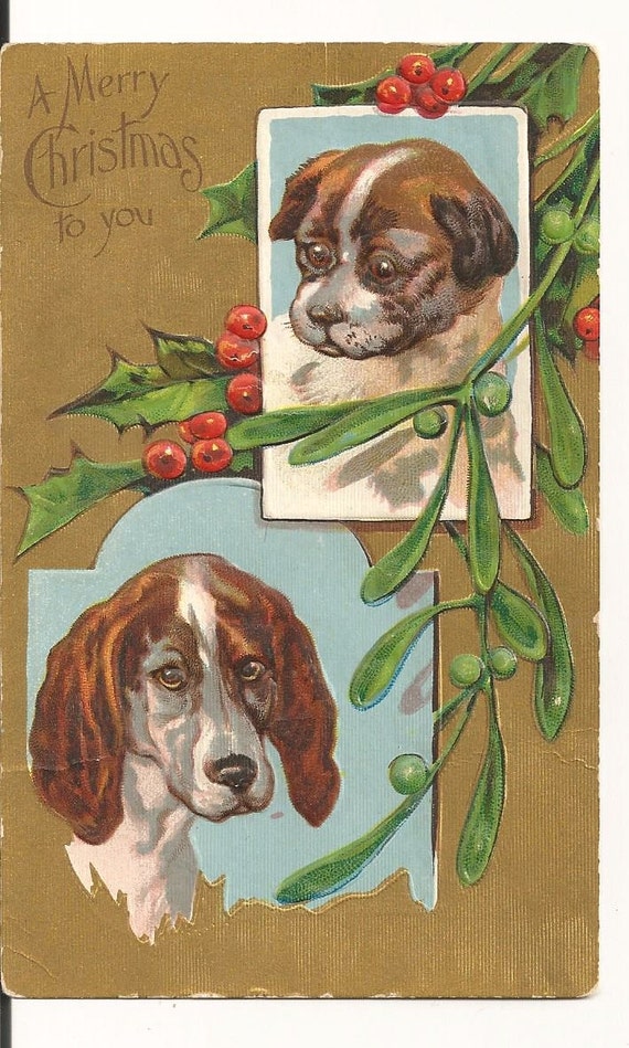 Beautiful Vintage 1910's "A Merry Christmas To You" Xmas Dogs Postcard