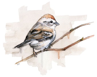 Watercolor Sparrow Print - Painting titled, "Sparrow", Songbird, Bird Prints, Watercolor Bird, Bird, Watercolor Painting, Sparrow Art