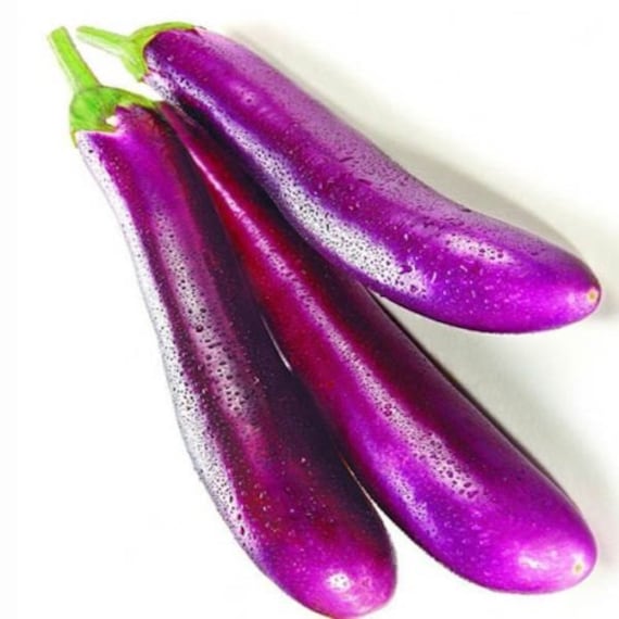 Long purple Eggplant 250 seeds NON GMO ez grow by GreenStuffs