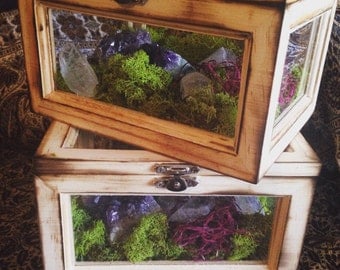 Terrarium Box Crystal Garden Crystal Air Planter Fairy Garden Terrarium Kit Raw Amethyst Girlfriend Gift for Her Healing Crystals Bohemian
