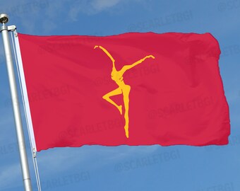 Dave Matthews Band DMB Firedancer Flag