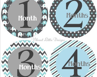 Monthly Baby Stickers Boy, Milestone Stickers, Month Stickers, Baby Month Stickers, Baby Stickers, Elephants #51