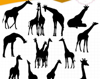 Giraffe svg | Etsy