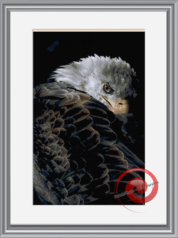 Eagle Cross Stitch Pattern Instant Download by KustomCrossStitch