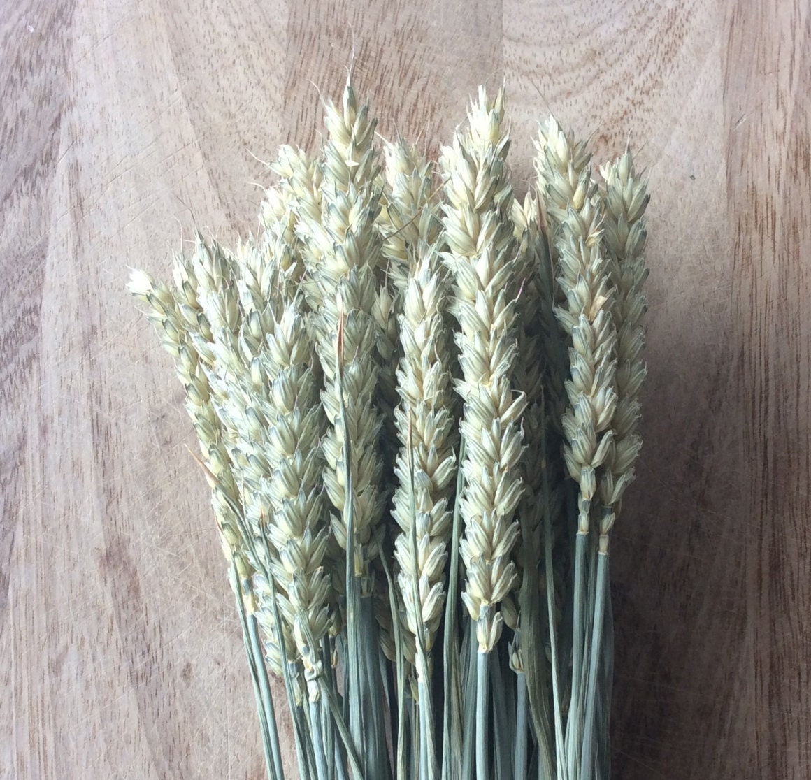 Rustic Bouquet of Dried Wheat Grass. Dried Flower Rustic