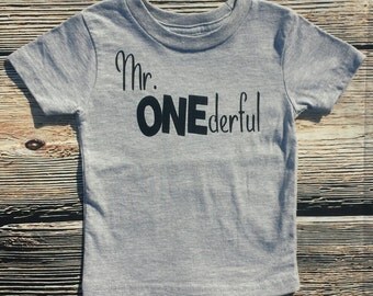 Mr. Onederful tshirt, first birthday boy shirt, birthday boy shirt,