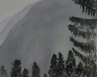Misty Mountain Morning in Washington State