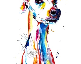 Colorful Whippet and Italian Greyhound Art Print - Print of my Original Watercolor Painting