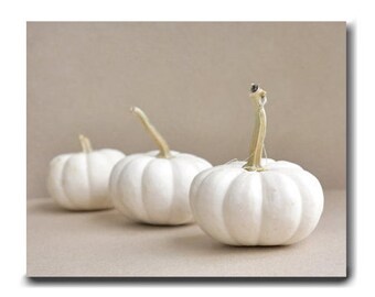 White pumpkins canvas wall art, neutral kitchen decor, canvas print 20x30, tan beige white gallery wrap rustic food canvas, kitchen wall art